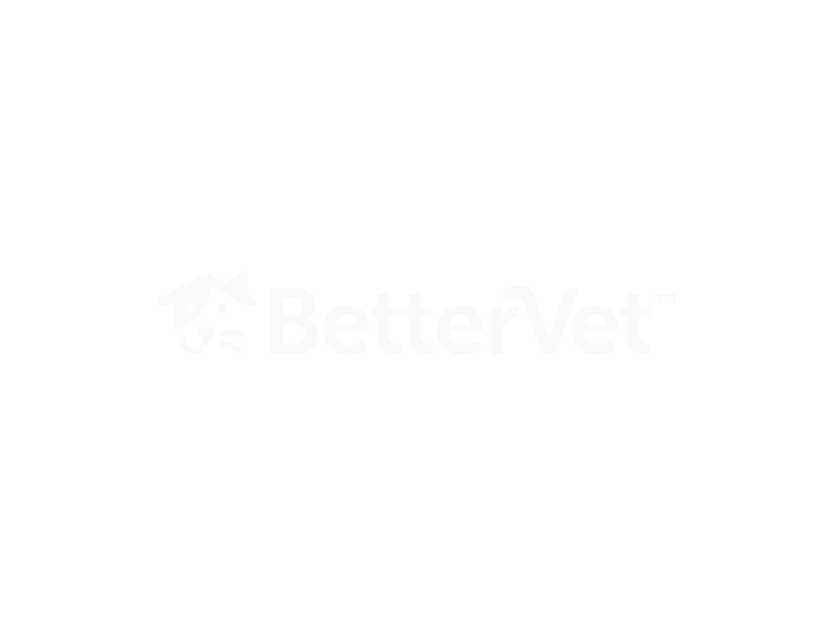 BetterVet Logo
