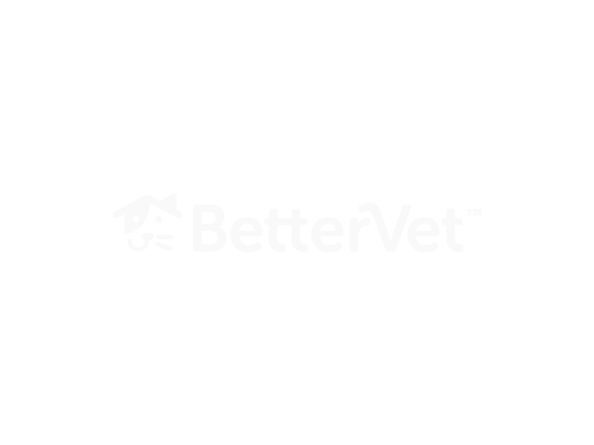 Logo de BetterVet