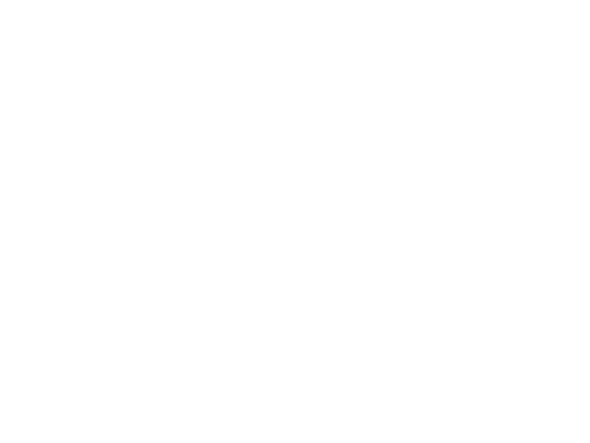 Plus Logo